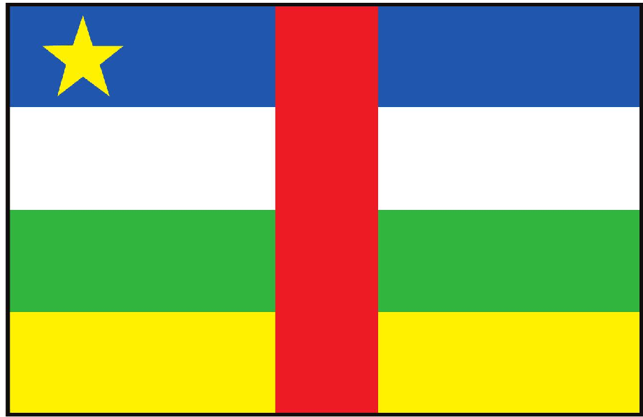 「童眼看世界」中非国旗、国徽、国歌插图 「童眼看世界」中非国旗、国徽、国歌