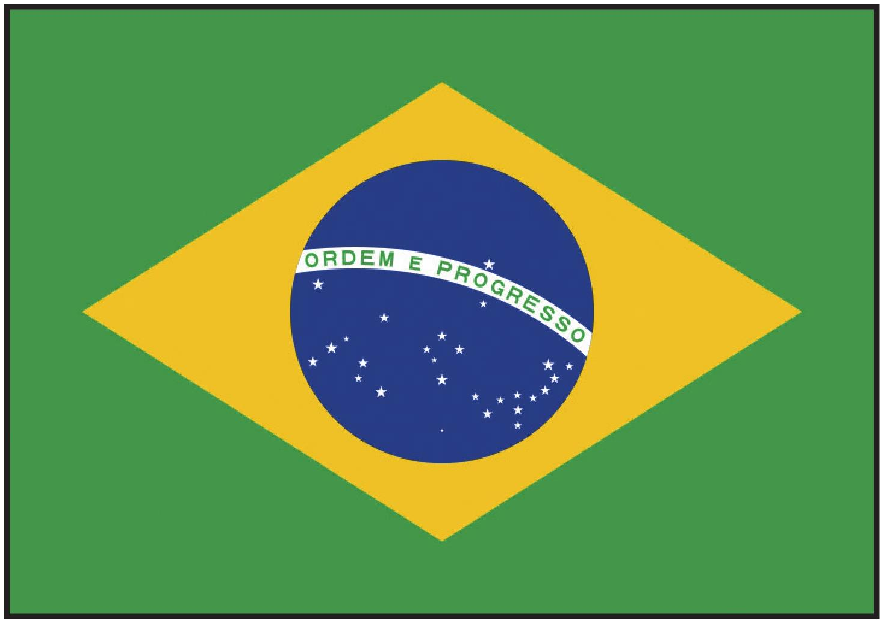 「童眼看世界」巴西国旗、国徽、国歌、风俗习惯