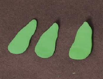 「儿童超轻粘土制作教程：蔬菜篇」金灿灿的玉米