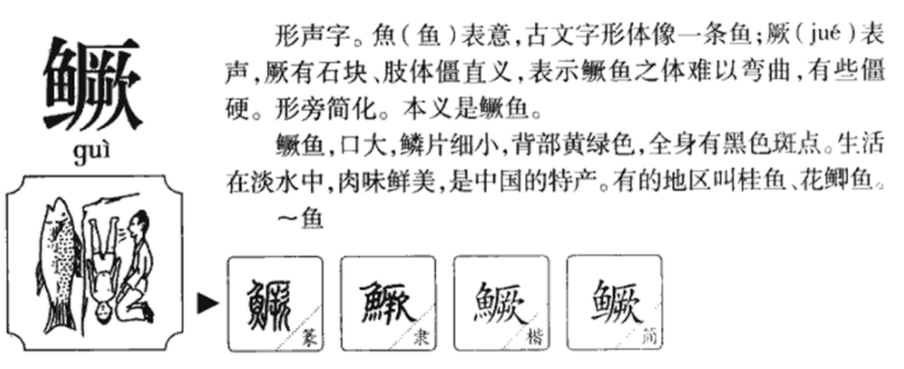 鳜怎么读？鳜的读音和意思