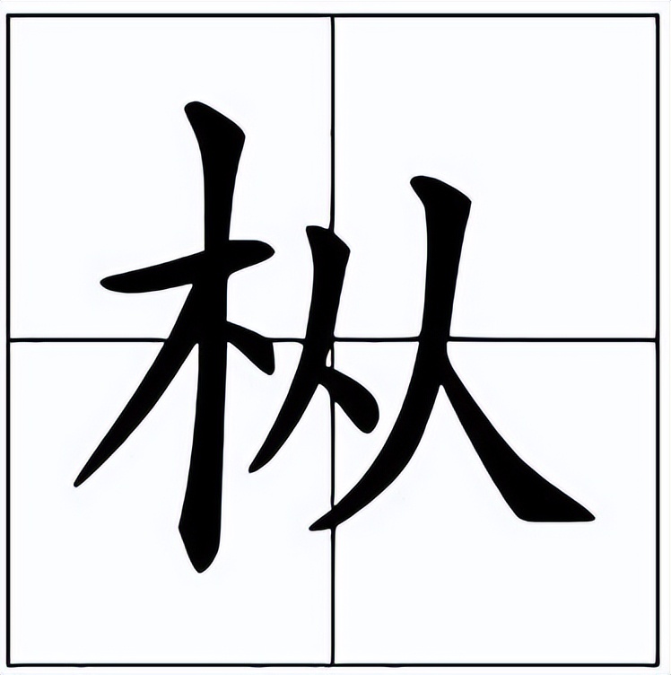 鸡枞菌怎么读？鸡枞菌的读音和意思