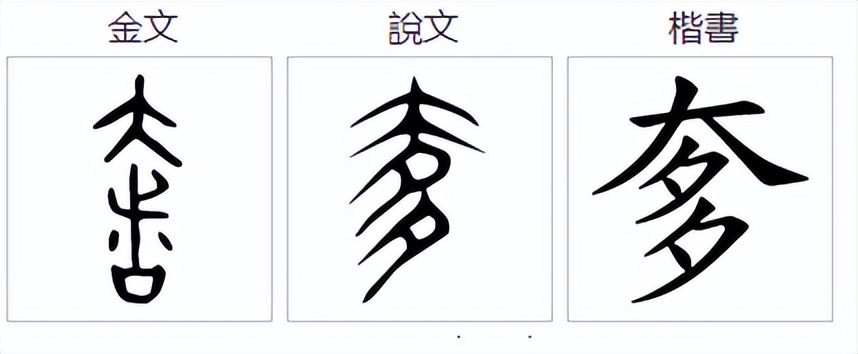 奓怎么读?奓的读音和意思插图1 奓怎么读?奓的读音和意思