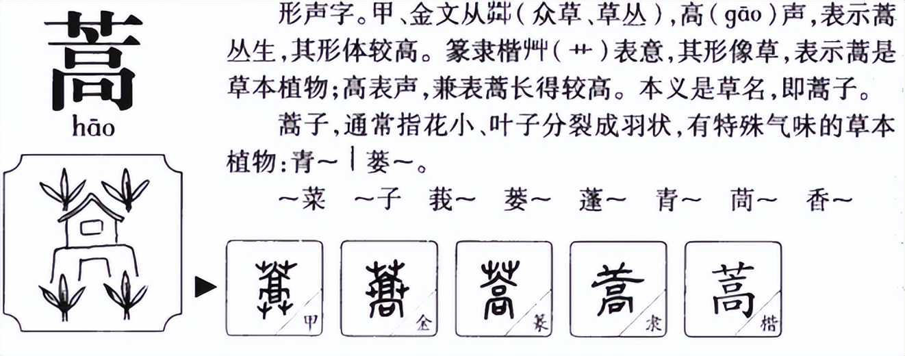 蓬蒿人怎么读?蓬蒿人的读音和意思插图2 蓬蒿人怎么读?蓬蒿人的读音和意思
