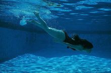 「奥运会知识小百科」奥运会百年历史以来，取消了哪些项目？取消后又恢复的是什么项目？