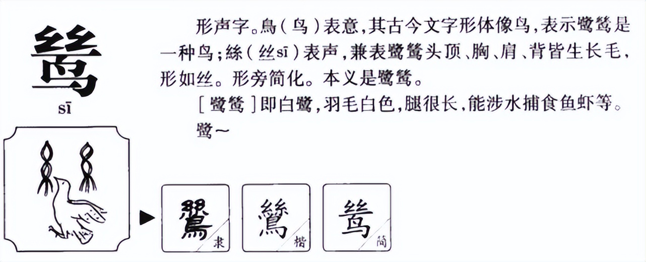 鸶怎么读？鸶的读音和意思