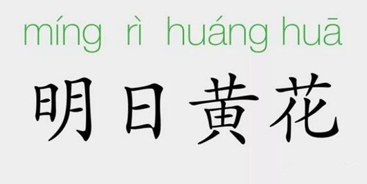 「成语故事」明日黄花插图 「成语故事」明日黄花