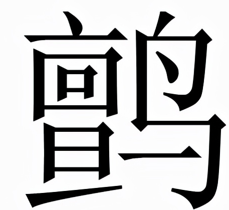 鹯怎么读?鹯的读音和意思插图 鹯怎么读?鹯的读音和意思
