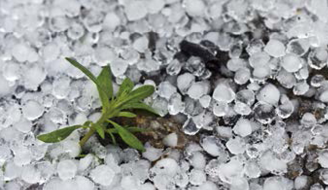 「趣味知识小百科:自然灾害篇」从天而降的冰雹灾害(冰雹是怎样形成的)插图2 「趣味知识小百科:自然灾害篇」从天而降的冰雹灾害(冰雹是怎样形成的)