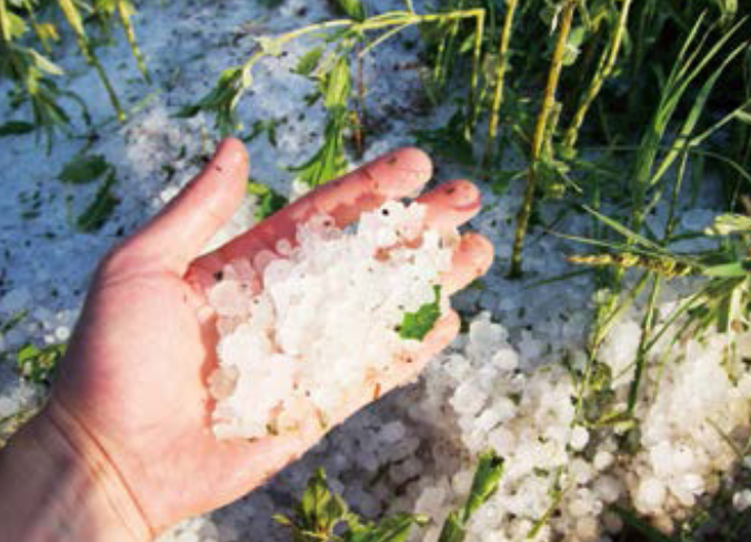 「趣味知识小百科:自然灾害篇」从天而降的冰雹灾害(冰雹是怎样形成的)插图3 「趣味知识小百科:自然灾害篇」从天而降的冰雹灾害(冰雹是怎样形成的)