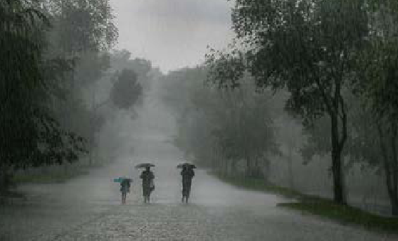 「趣味知识小百科:自然灾害篇」暴雨带来的灾害(暴雨预警措施)插图2 「趣味知识小百科:自然灾害篇」暴雨带来的灾害(暴雨预警措施)