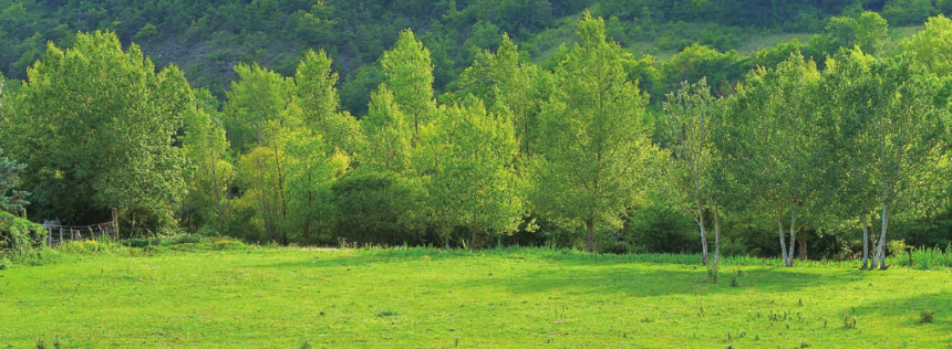 「世界国家地理百科」维也纳森林插图4 「世界国家地理百科」维也纳森林