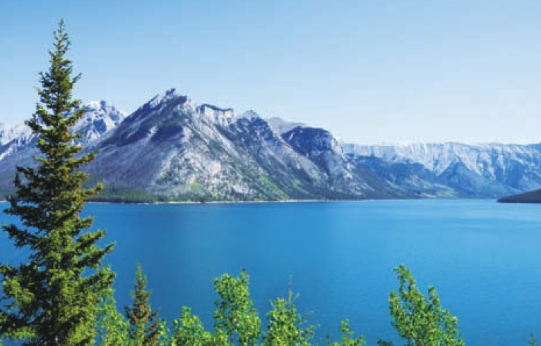 「世界国家地理百科」加拿大森林插图2 「世界国家地理百科」加拿大森林