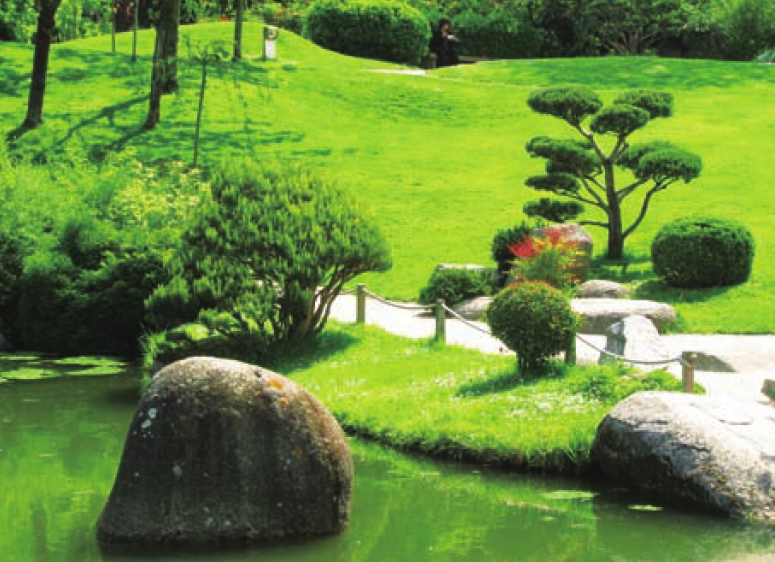 「世界国家地理百科」加拿大森林插图4 「世界国家地理百科」加拿大森林