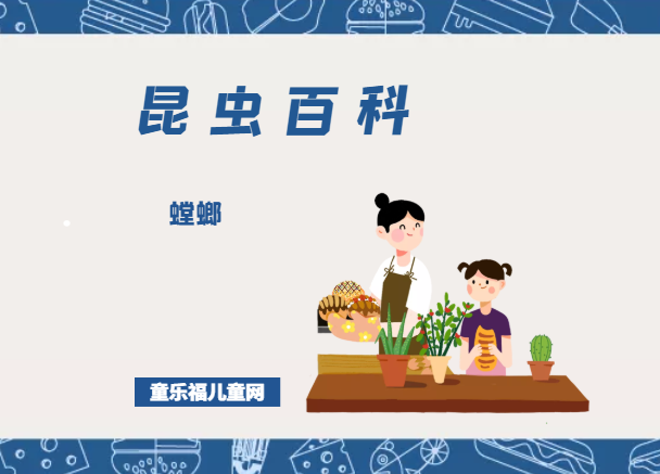 「昆虫百科」螳螂