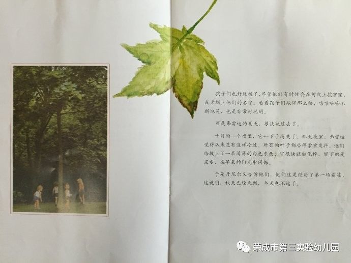 一片叶子落下来