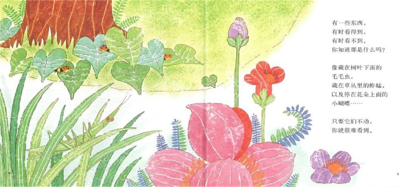 春天的故事绘本《花园里有什么》插图6 春天的故事绘本《花园里有什么》