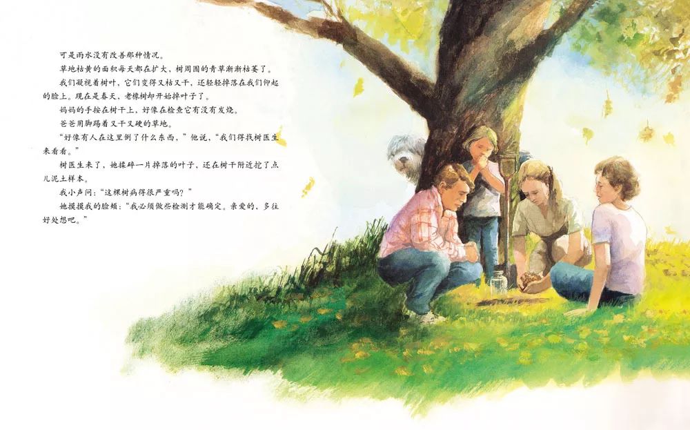 儿童绘本故事《艾莉丝的树》插图7 儿童绘本故事《艾莉丝的树》
