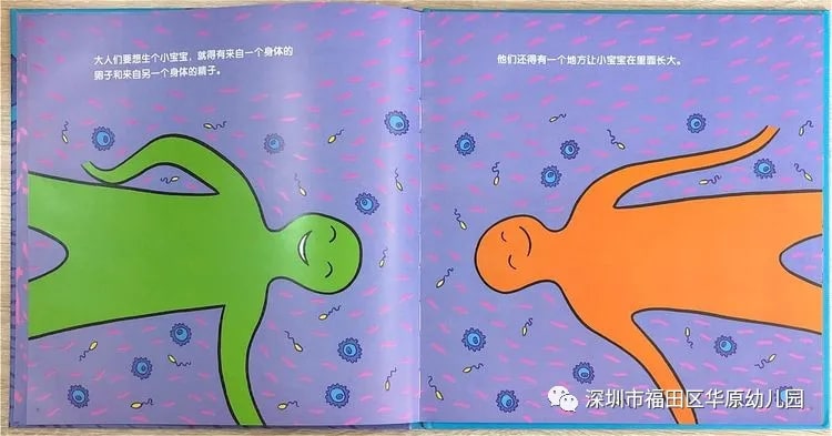 儿童性教育启蒙绘本《我从哪里来》插图6 儿童性教育启蒙绘本《我从哪里来》