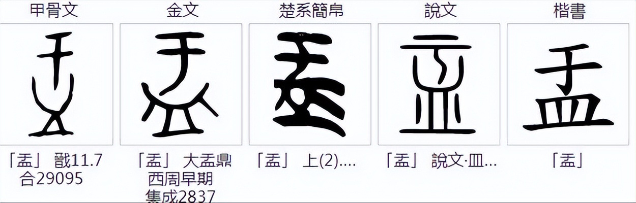 肾盂怎么读？肾盂的读音和意思