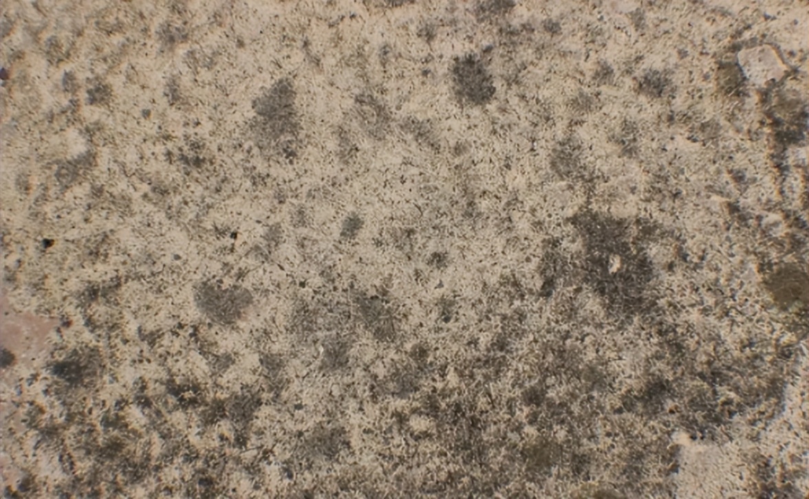 斑驳怎么读？斑驳的读音和意思