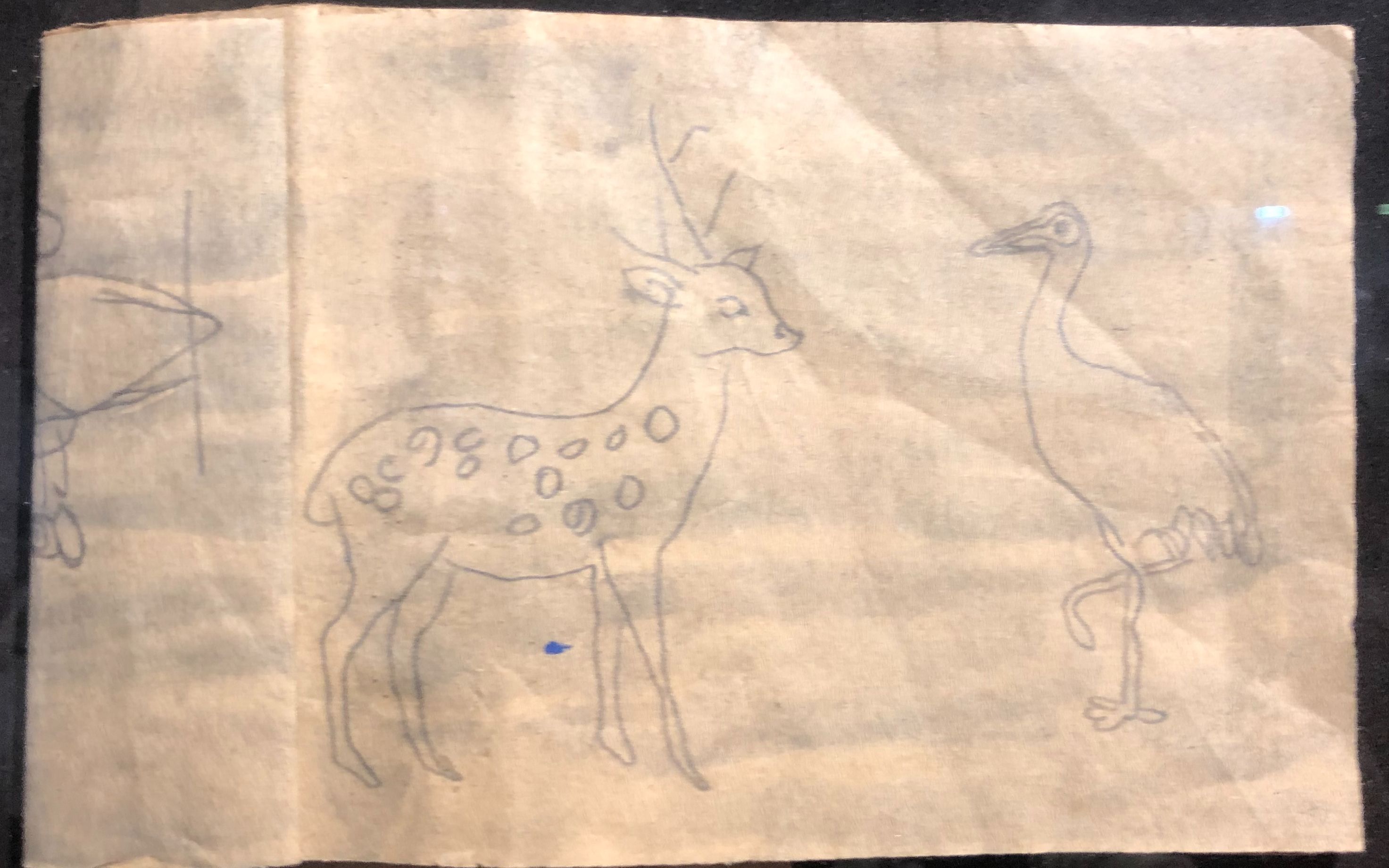 小萝卜头的故事英雄事迹（中国最小的烈士）