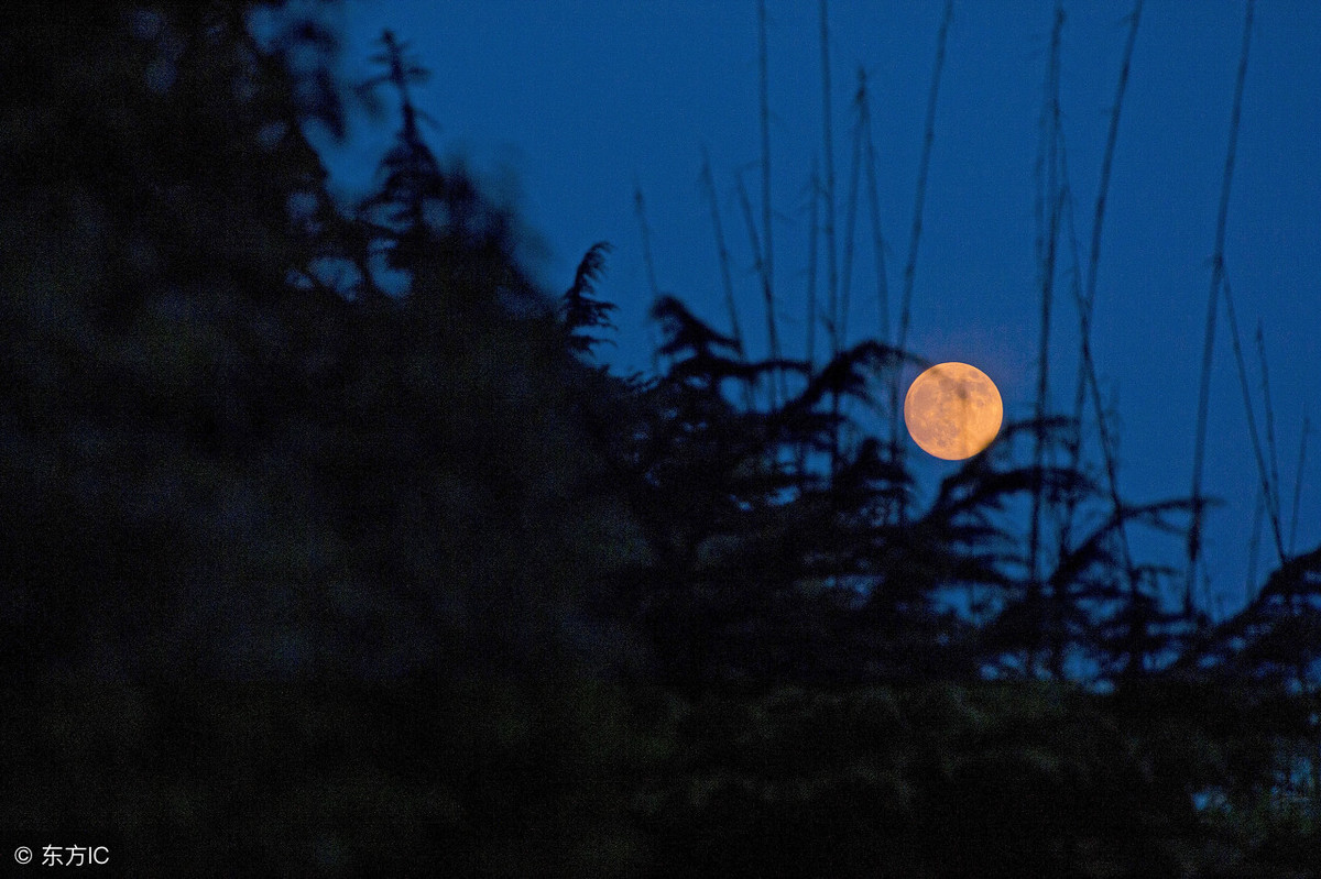 月亮的别称和雅称(一百多个别名,中国文化,博大精深)插图2 月亮的别称和雅称(一百多个别名,中国文化,博大精深)