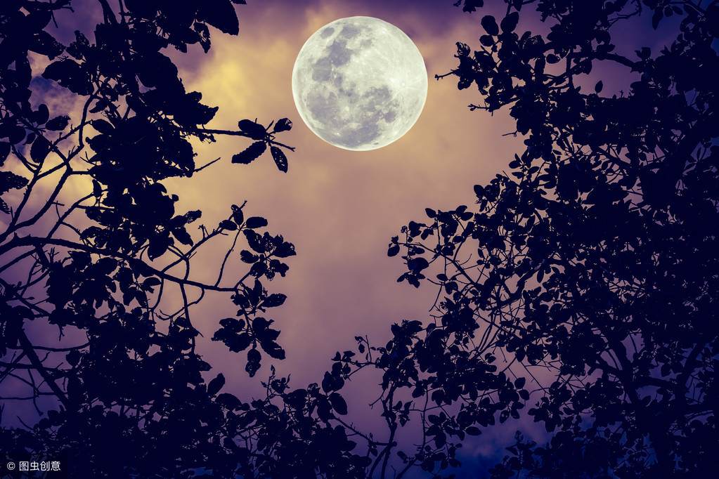 月亮的别称和雅称(一百多个别名,中国文化,博大精深)插图1 月亮的别称和雅称(一百多个别名,中国文化,博大精深)