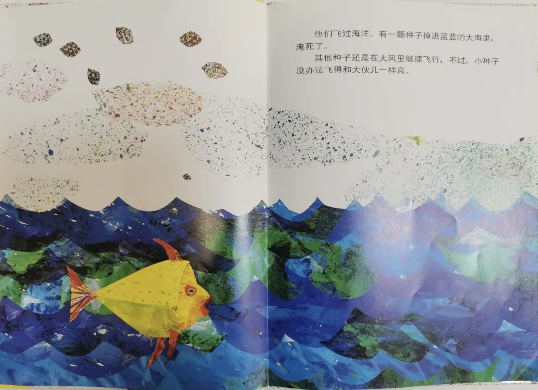 儿童生命教育绘本故事《小种子》插图5 儿童生命教育绘本故事《小种子》