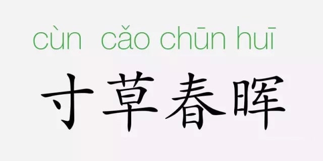 「成语故事」寸草春晖插图 「成语故事」寸草春晖