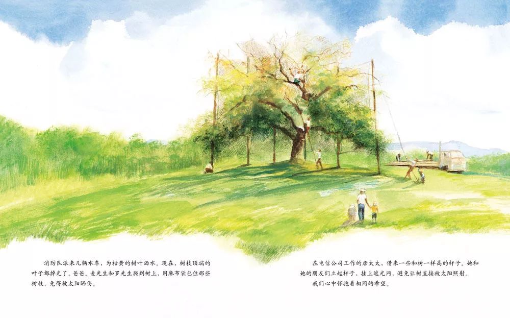 儿童绘本故事《艾莉丝的树》插图9 儿童绘本故事《艾莉丝的树》