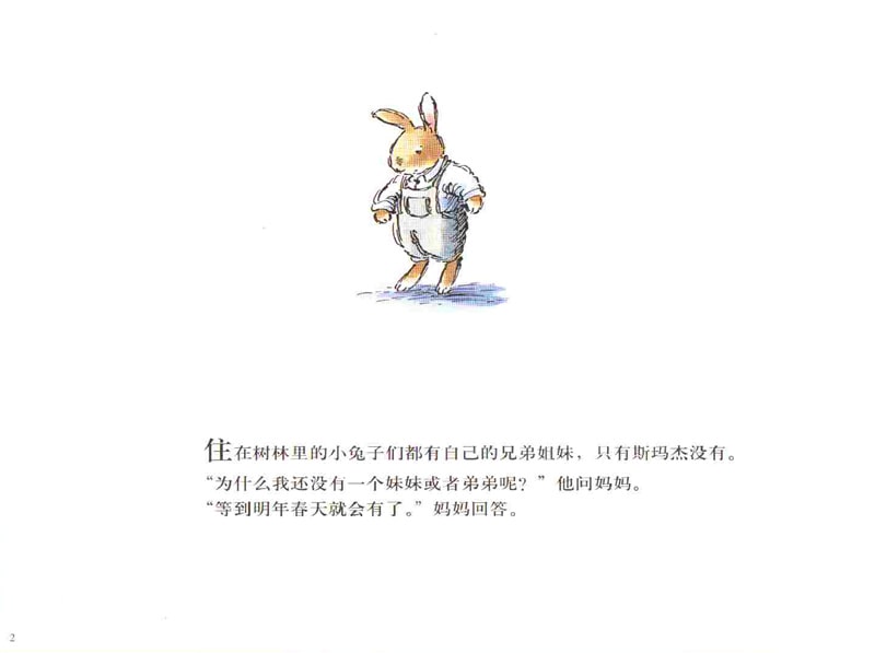 儿童绘本故事《春天的兔子》插图3 儿童绘本故事《春天的兔子》