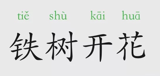 「成语故事」铁树开花插图 「成语故事」铁树开花