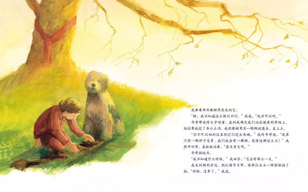 儿童绘本故事《艾莉丝的树》插图15 儿童绘本故事《艾莉丝的树》