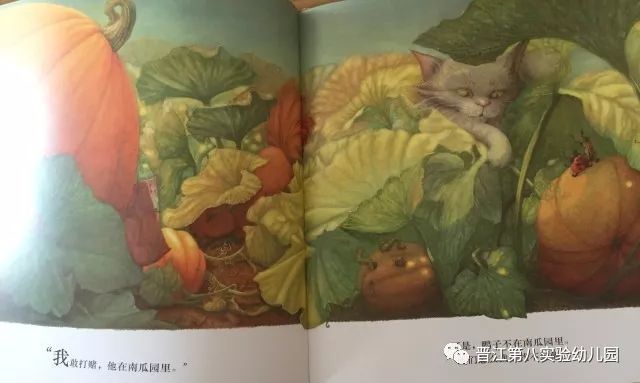 《南瓜汤》情绪管理交往沟通友情