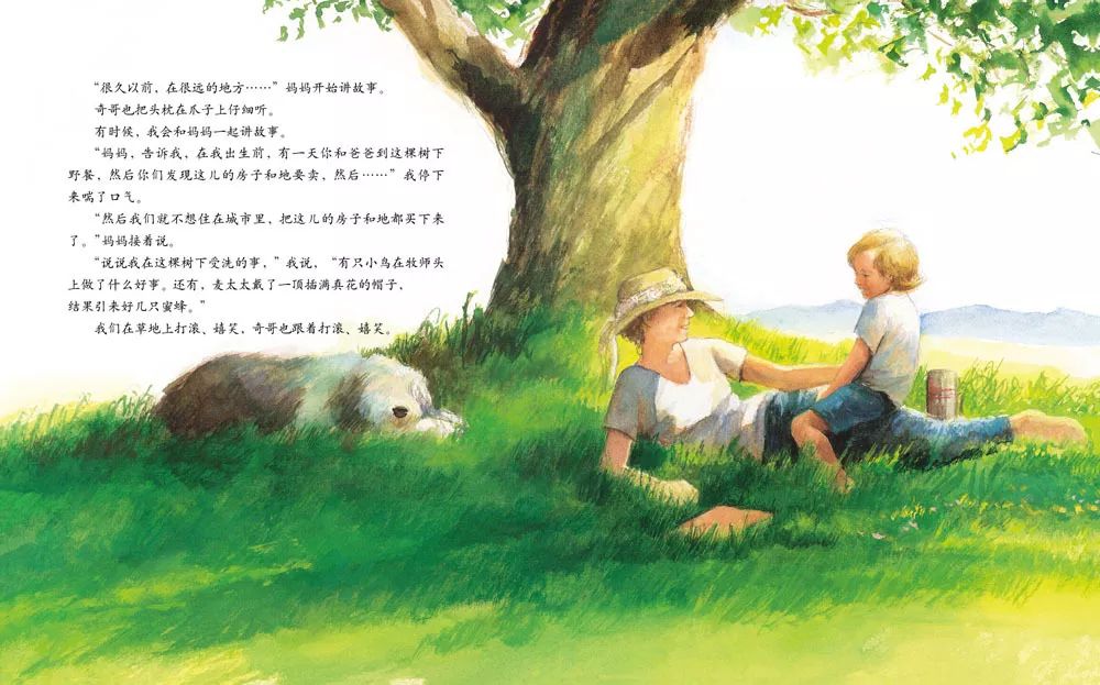 儿童绘本故事《艾莉丝的树》插图3 儿童绘本故事《艾莉丝的树》