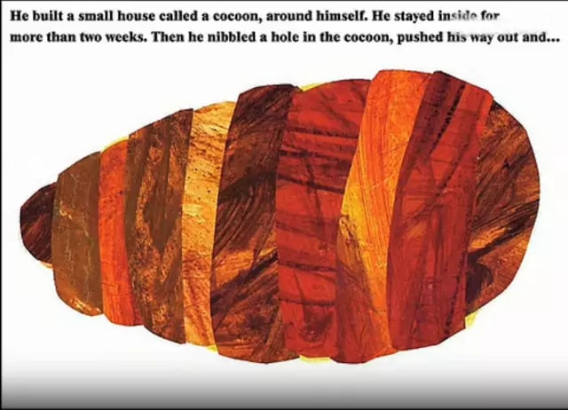 英语绘本故事《好饿的毛毛虫》插图13 英语绘本故事《好饿的毛毛虫》