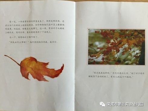 一片叶子落下来