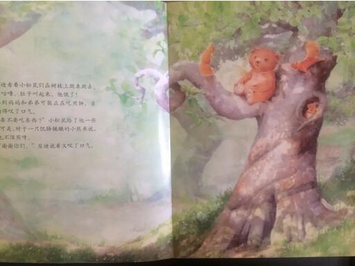 《愿望树》：母爱比愿望树更神奇