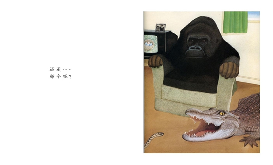 《小凯的家不一样了》一切只因二宝的到来