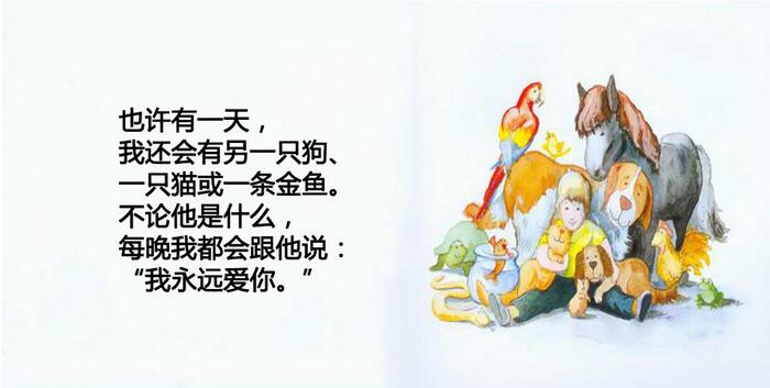 《我永远爱你》幼儿死亡教育绘本