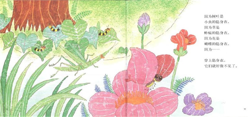 春天的故事绘本《花园里有什么》插图7 春天的故事绘本《花园里有什么》