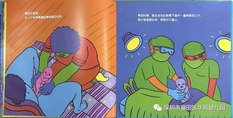 儿童性教育启蒙绘本《我从哪里来》插图15 儿童性教育启蒙绘本《我从哪里来》