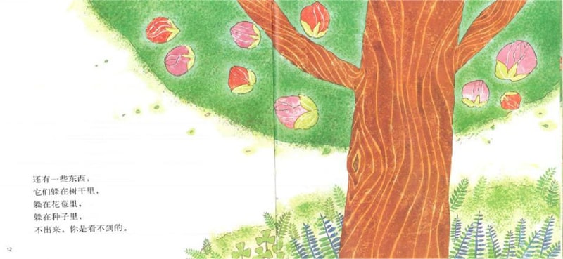 春天的故事绘本《花园里有什么》插图8 春天的故事绘本《花园里有什么》