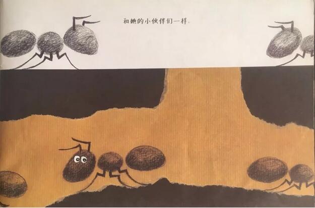 绘本推荐《蚂蚁的故事》