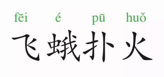 「成语故事」飞蛾扑火插图 「成语故事」飞蛾扑火