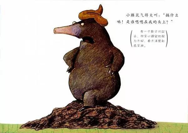 儿童绘本推荐《是谁嗯嗯在我的头上》插图2 儿童绘本推荐《是谁嗯嗯在我的头上》