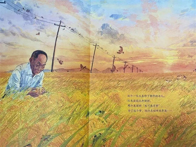 袁隆平的故事《一粒种子改变世界绘本》插图16 袁隆平的故事《一粒种子改变世界绘本》