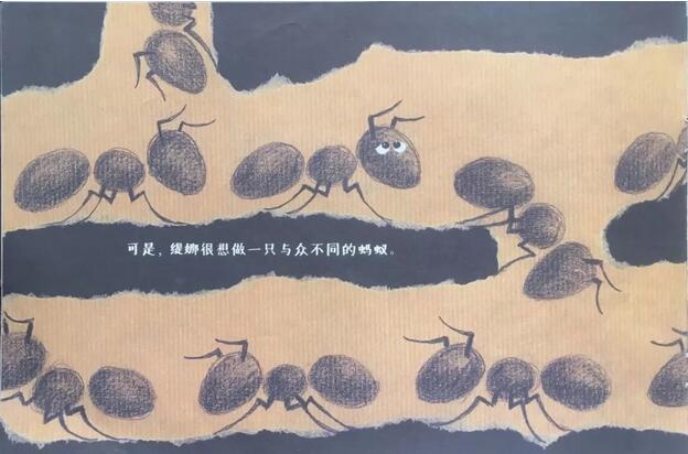 绘本推荐《蚂蚁的故事》