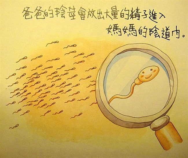 香港幼儿性教育绘本《我从哪里来》