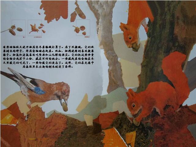 绘本故事《一粒种子的旅行》神奇的大自然